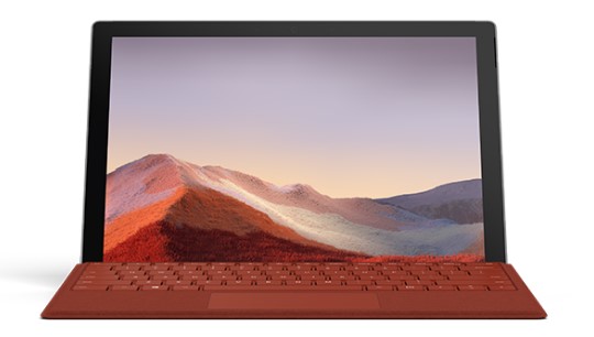 新巴尔虎右清洁和维护 Surface
